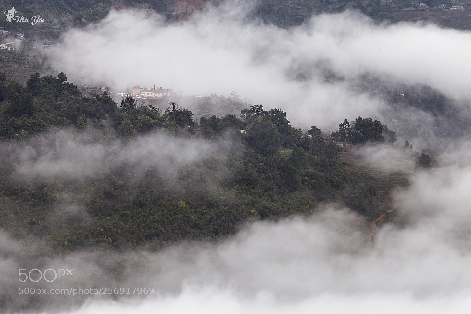 Canon EOS 6D sample photo. Living in paradise in photography