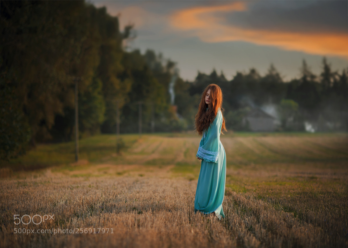 Nikon D800 sample photo. Evening light photography
