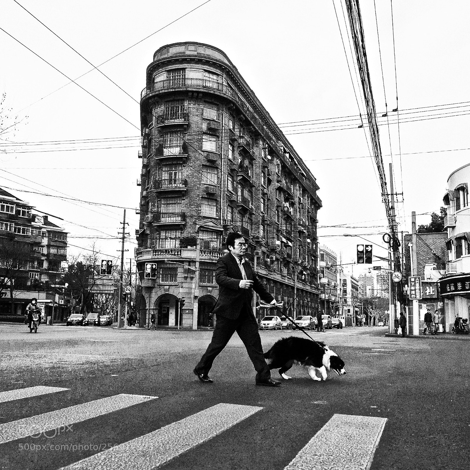 Olympus OM-D E-M1 sample photo. Untitled photography