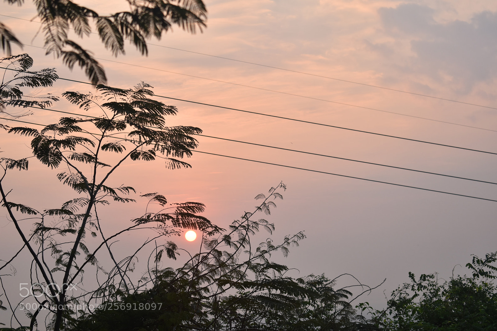 Nikon D5600 sample photo. Sun photography