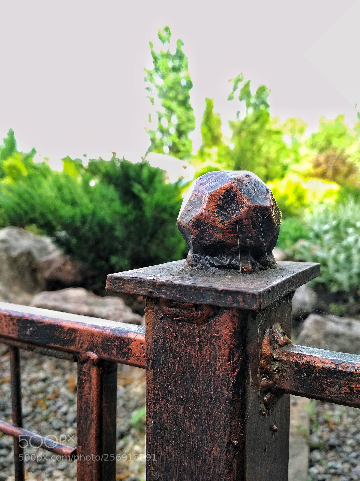 Xiaomi Redmi 4X sample photo. Untitled photography