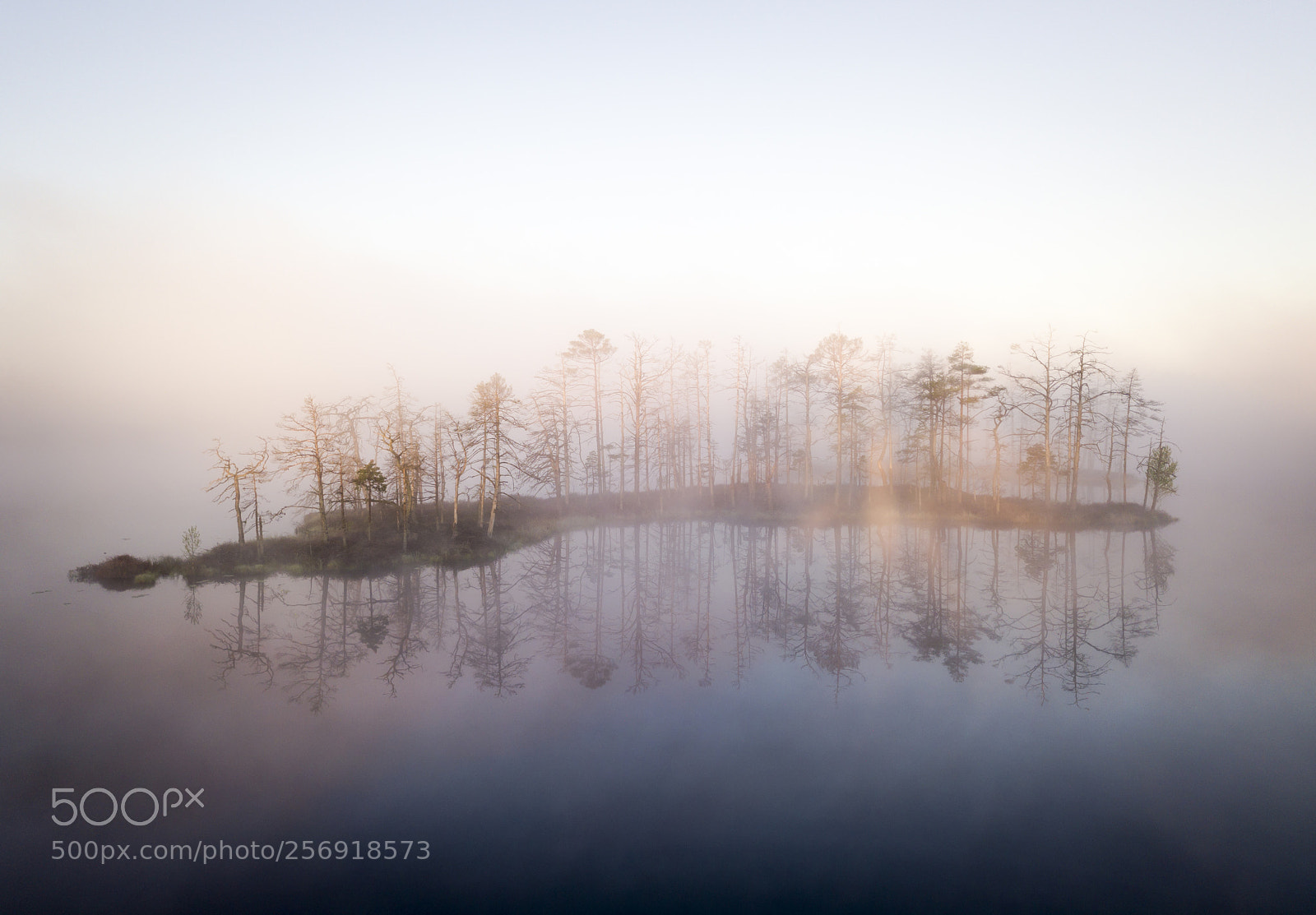 DJI FC220 sample photo. Morning fog&light photography