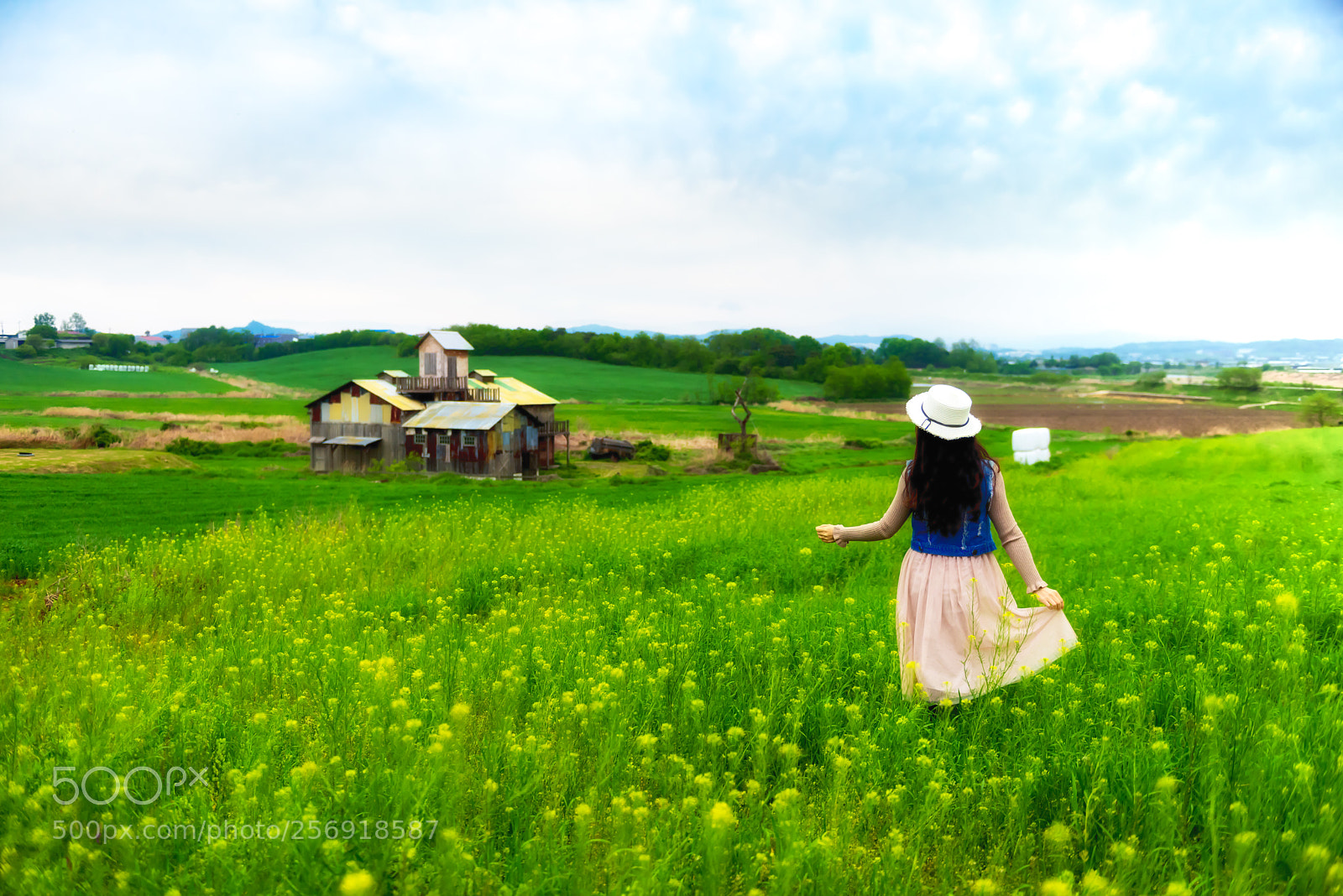 Nikon D810 sample photo. Morning on anseong mokjang photography