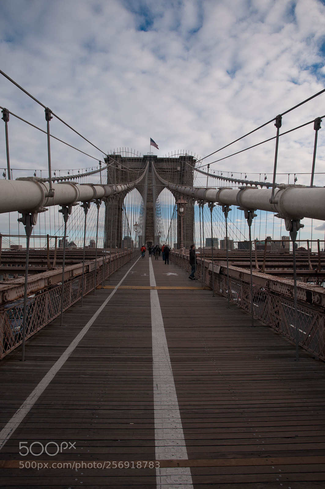 Nikon D90 sample photo. Walking to brooklyn photography