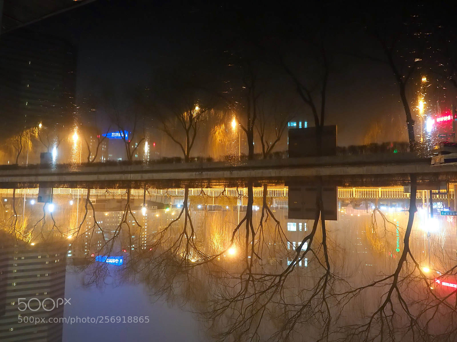 Olympus OM-D E-M5 II sample photo. Reflections photography