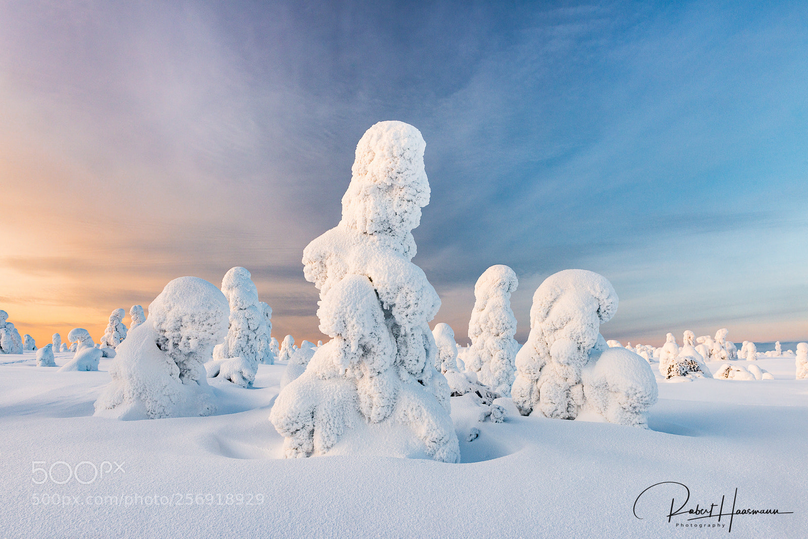 Nikon D800 sample photo. Finnish winter wonderland photography