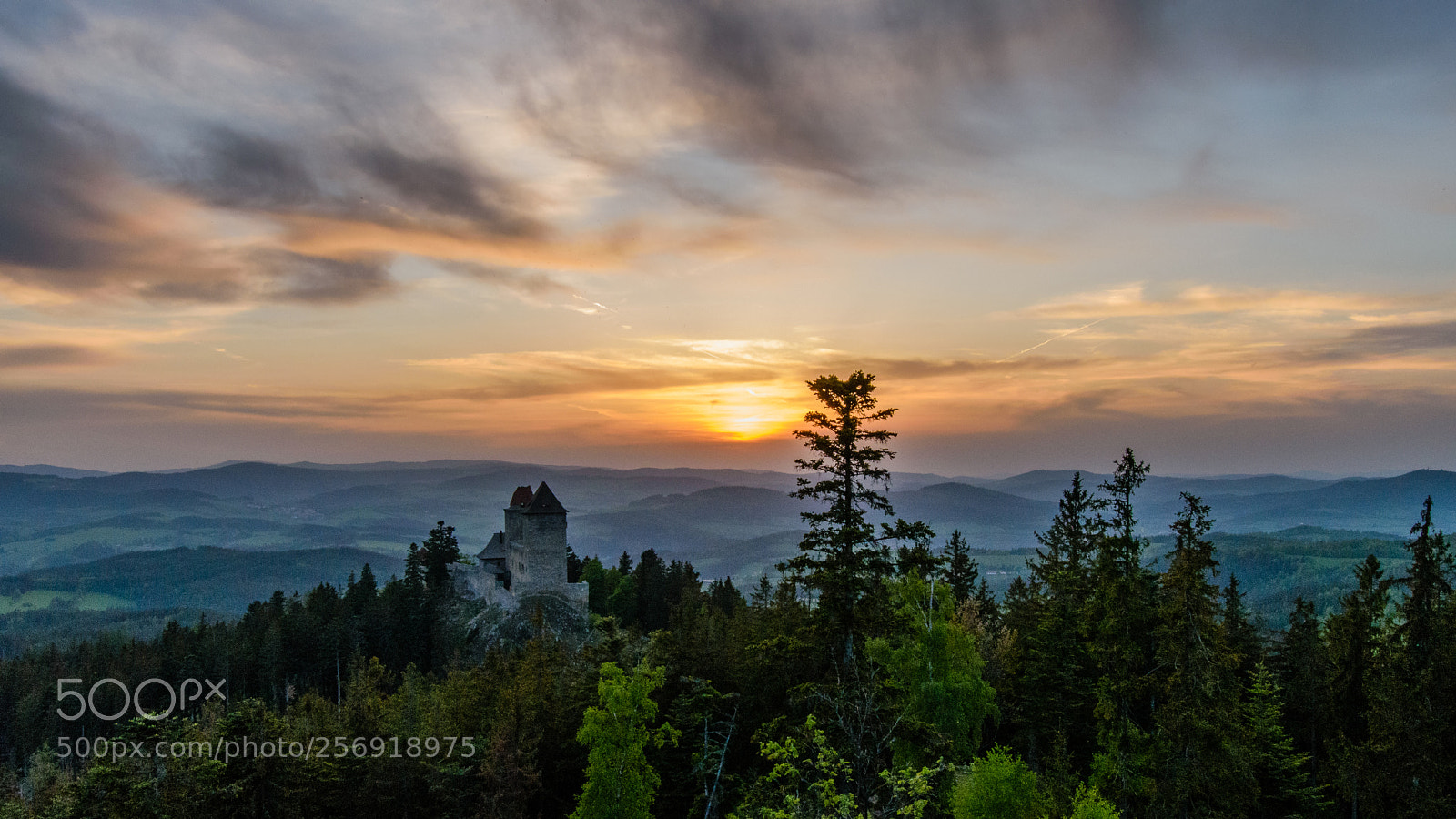 Nikon D5500 sample photo. Catle ka perk, czech photography