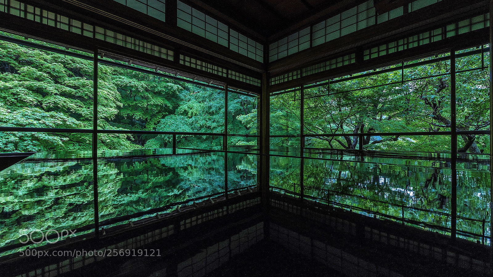 Nikon D850 sample photo. Reflection photography