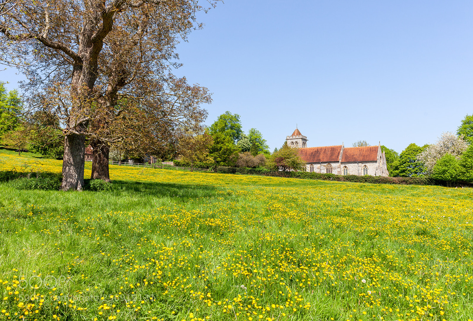 Canon EOS 5D Mark II sample photo. St michael and all photography
