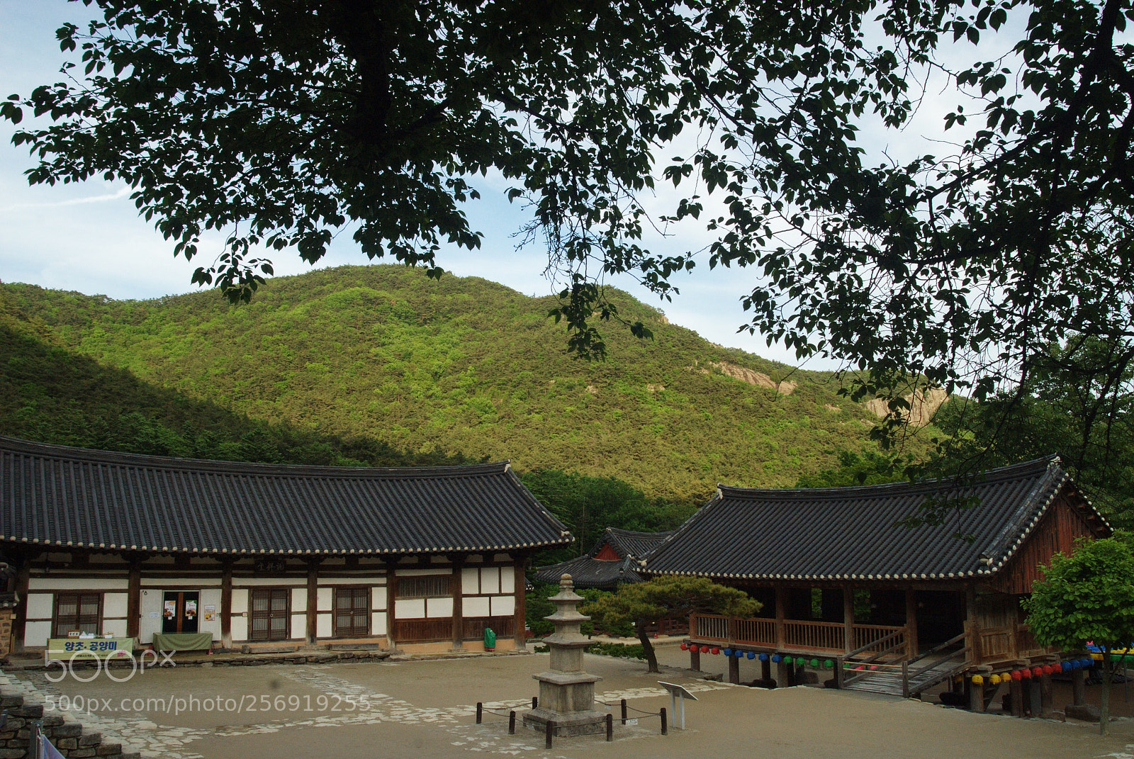 Nikon D200 sample photo. Naesosa
내소사 photography