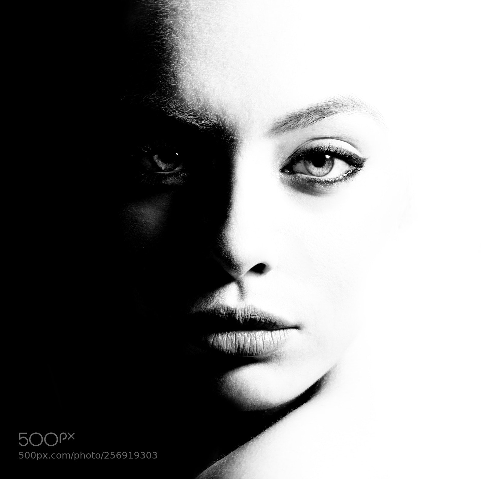 Canon EOS 5D Mark II sample photo. High contrast black and photography