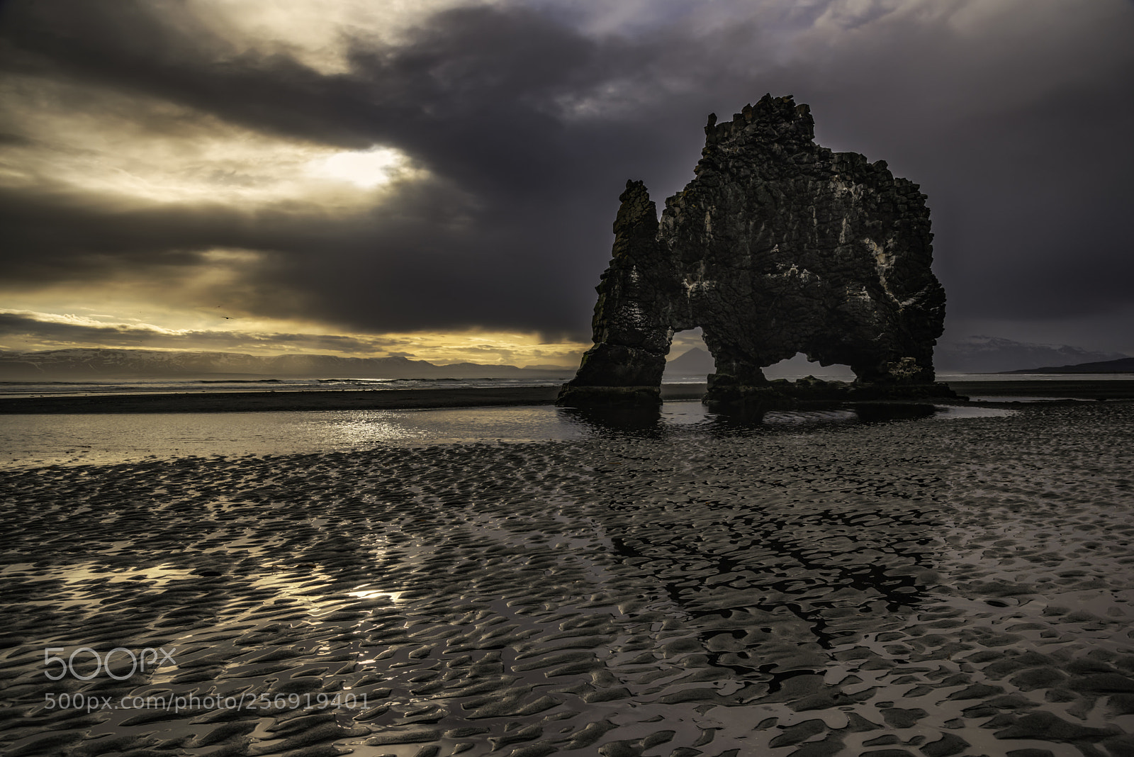 Nikon D750 sample photo. Hvitserkur photography