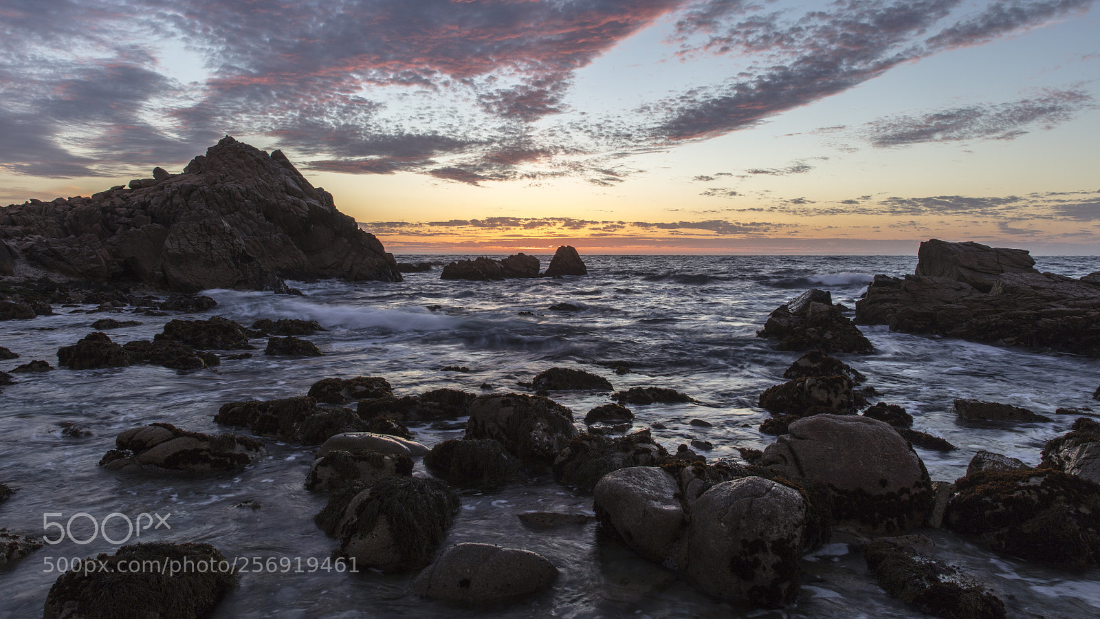 Canon EOS 5DS R sample photo. 17 mile drive photography