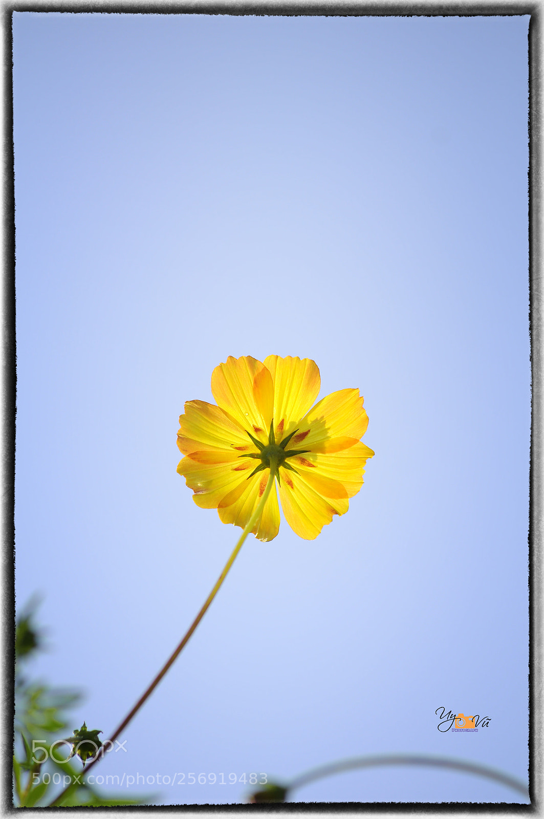 Nikon D90 sample photo. Untitled photography
