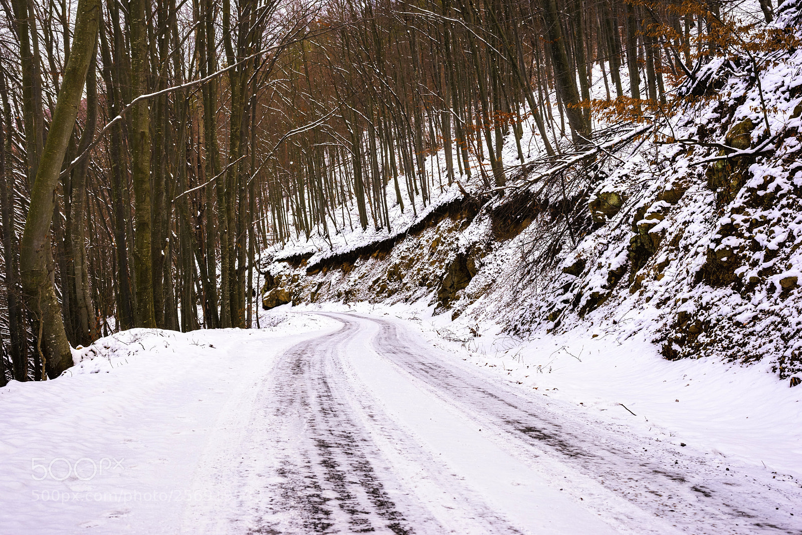 Nikon D610 sample photo. Winter road fairy tail photography
