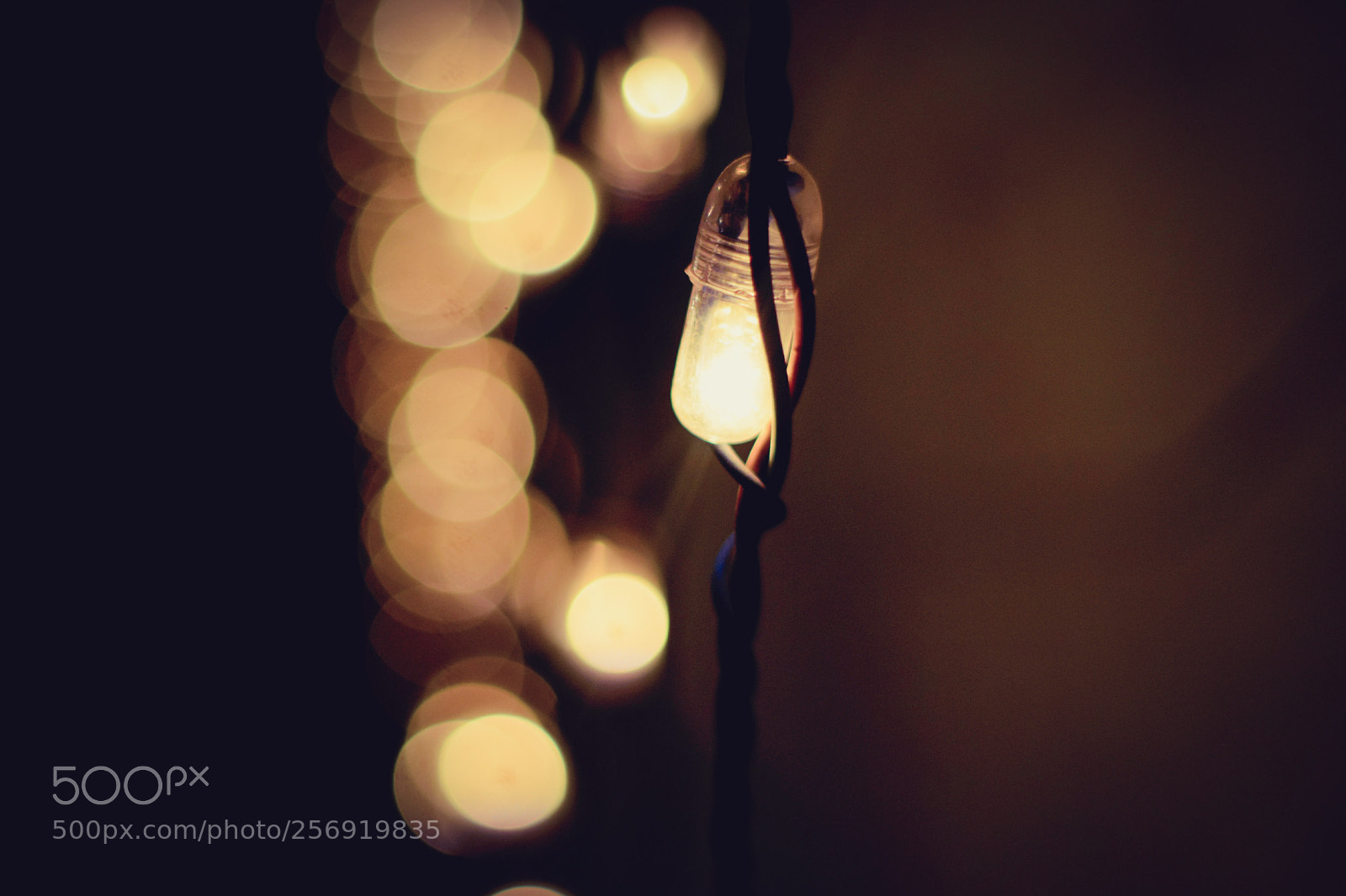 Nikon D3300 sample photo. Fade  photography