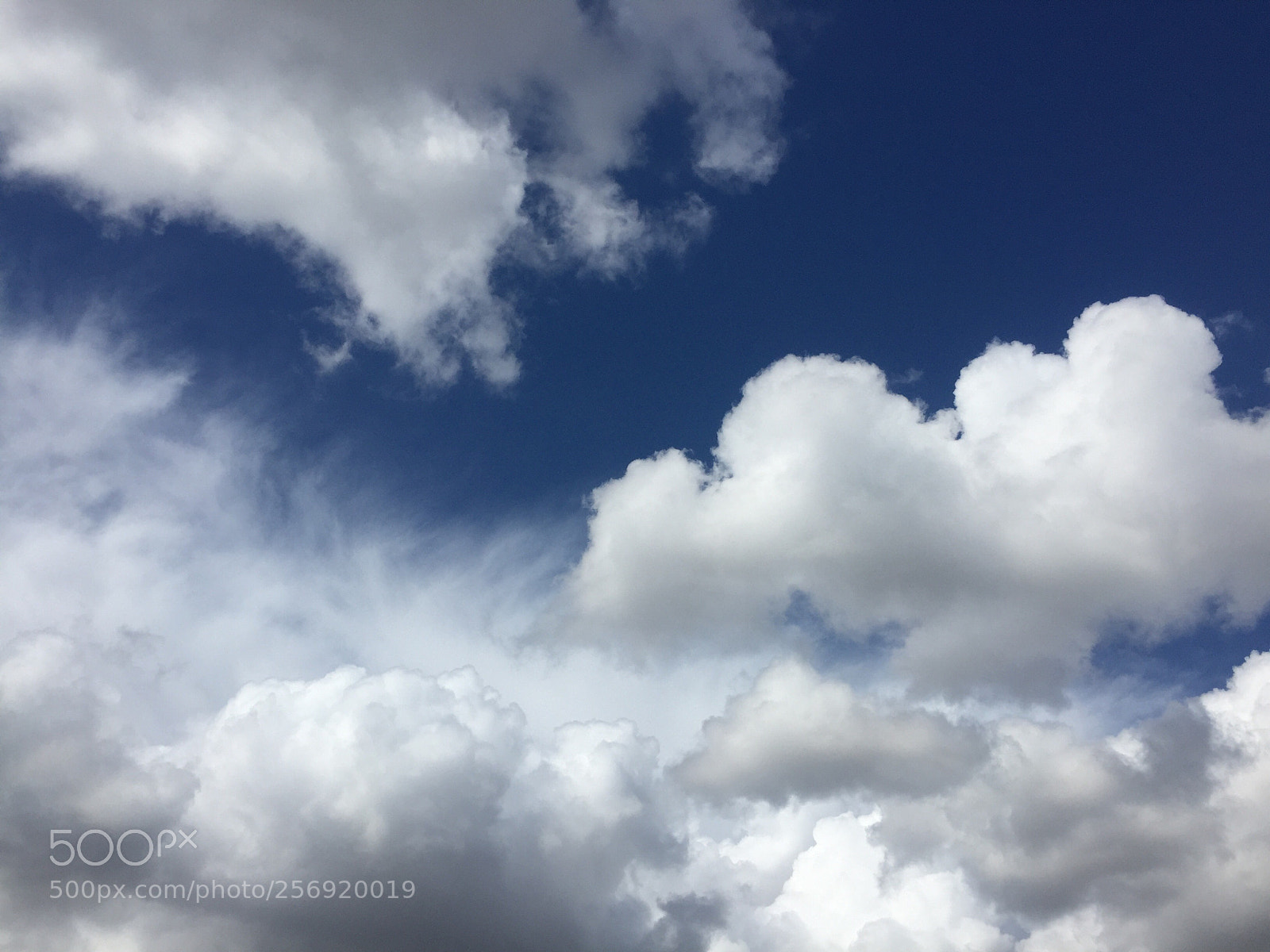 Apple iPhone 6 sample photo. Untitled photography