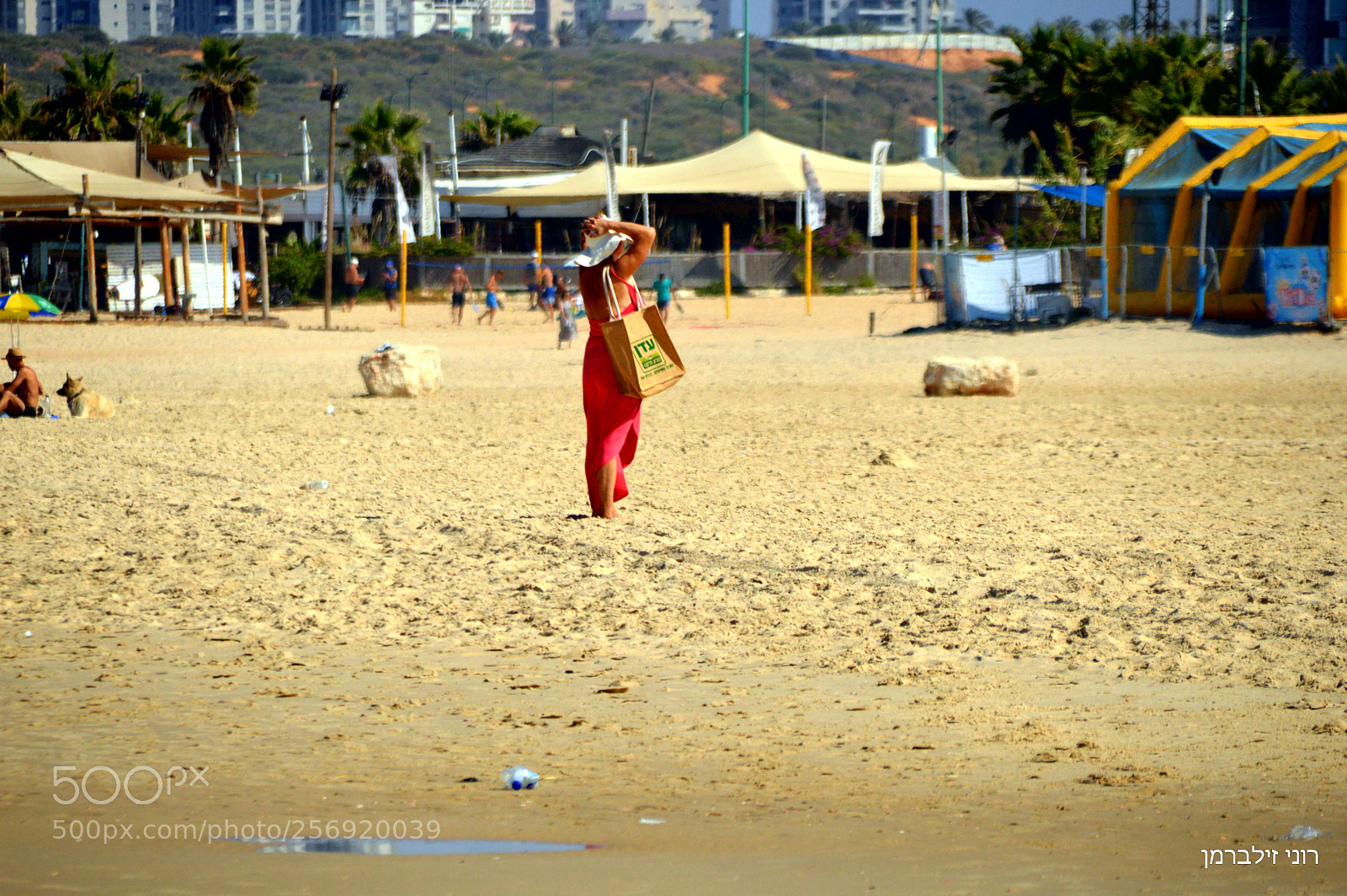 Nikon D3200 sample photo. Untitled photography