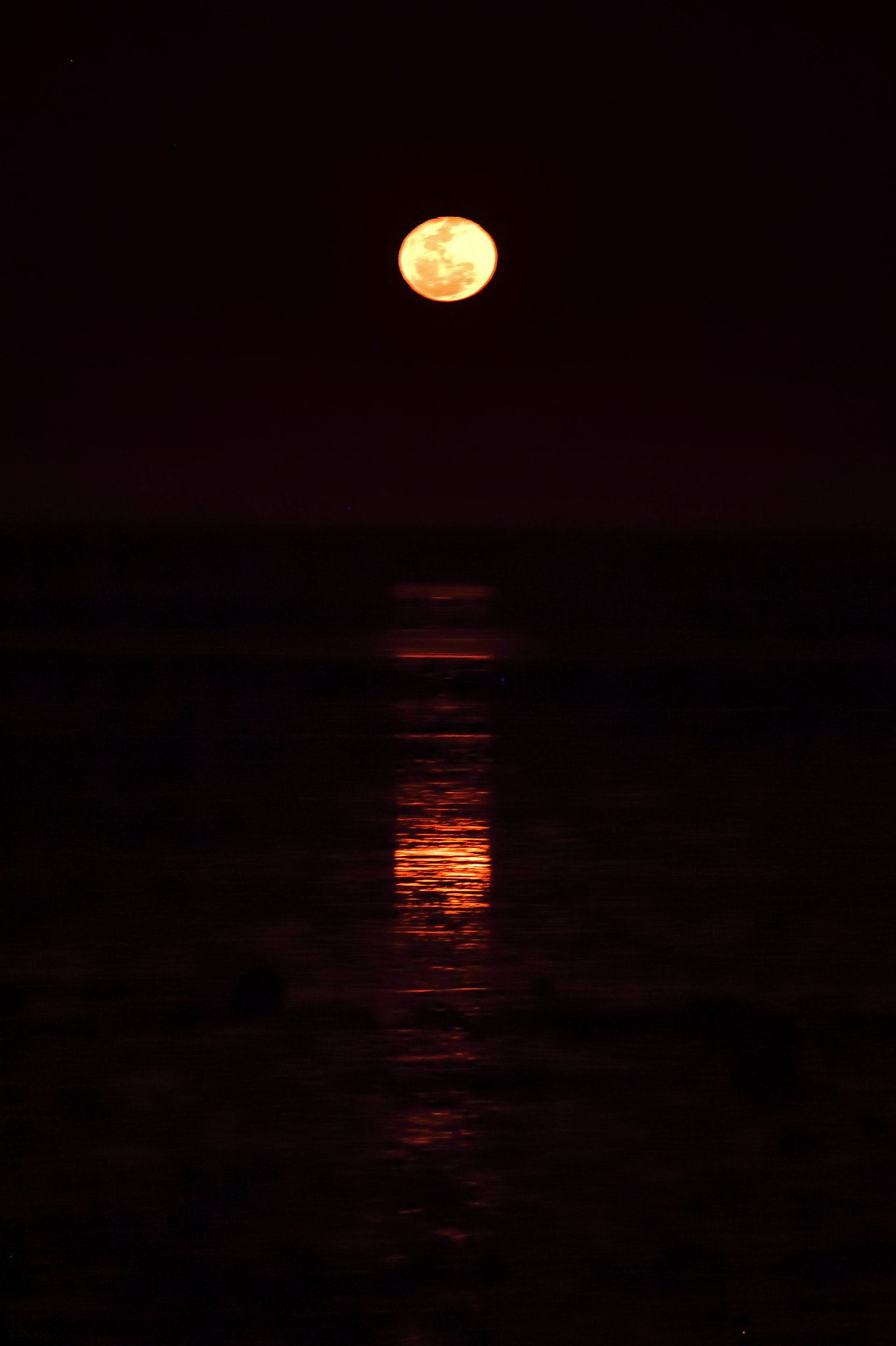 Nikon D5 sample photo. Tower photography