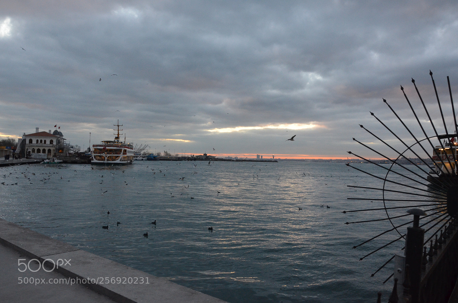 Nikon D7000 sample photo. Şh-fatİh photography