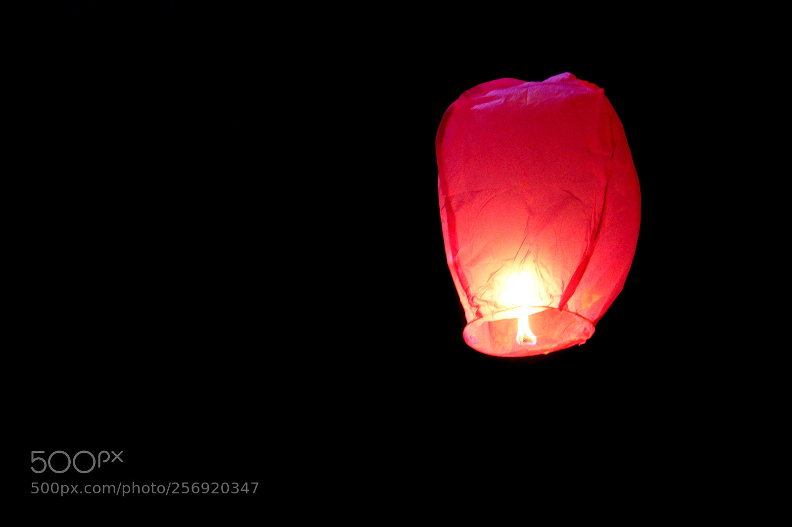 Canon EF-S 55-250mm F4-5.6 IS II sample photo. Pradarshini quovadis iimlucknowcampus photography