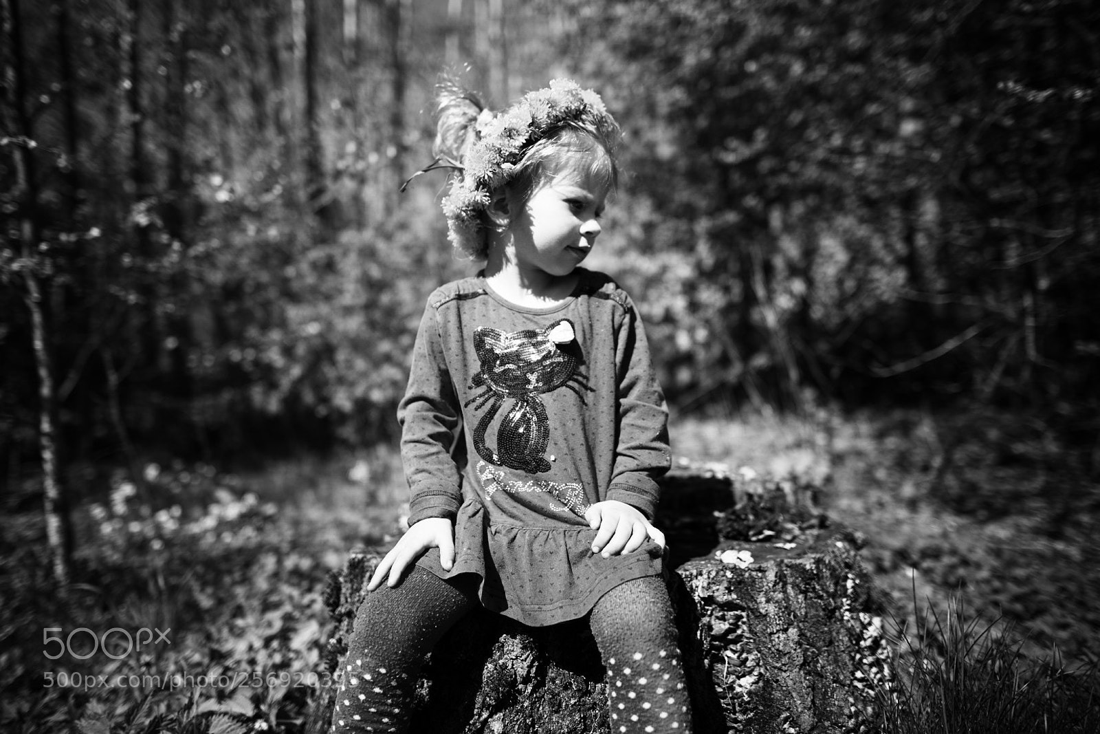 Canon EOS 6D sample photo. Crown photography
