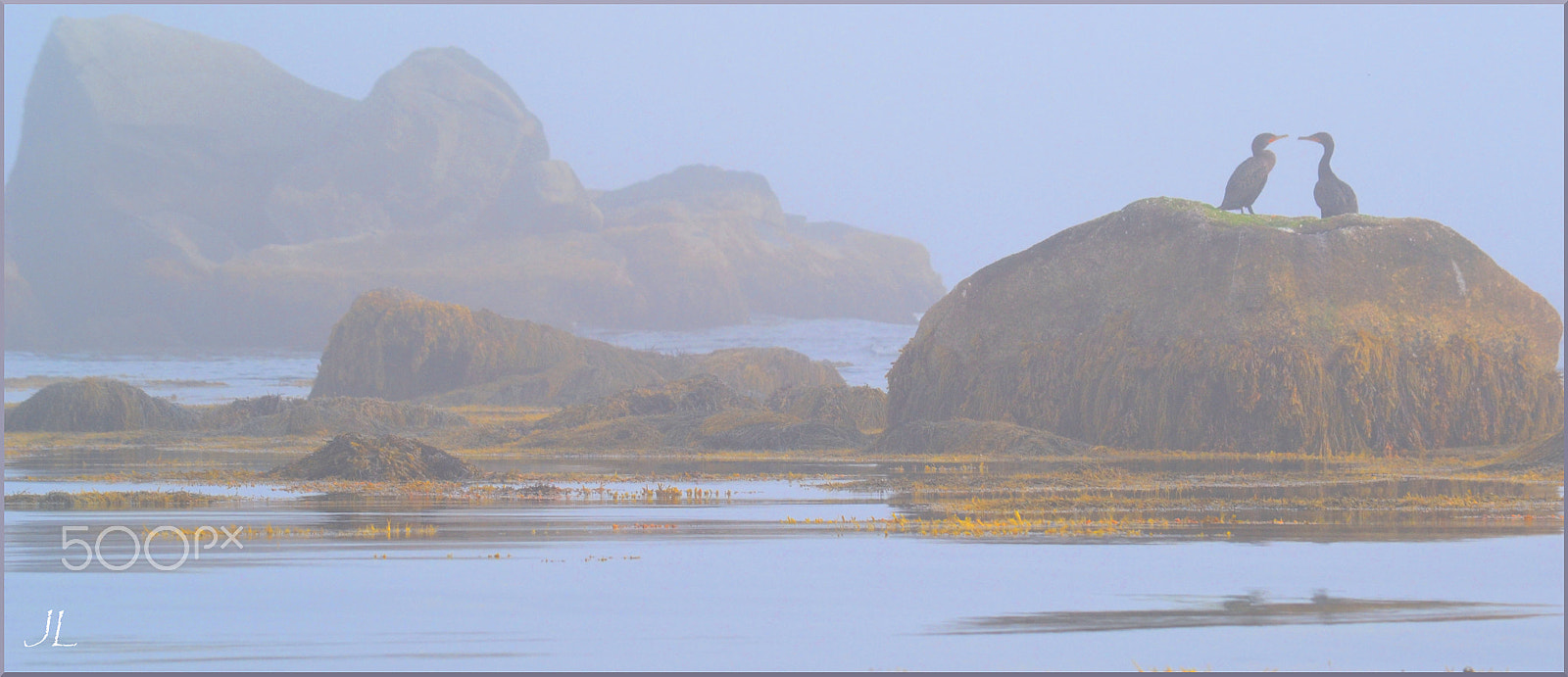 Nikon D3100 sample photo. Conversation in the fog w sig photography