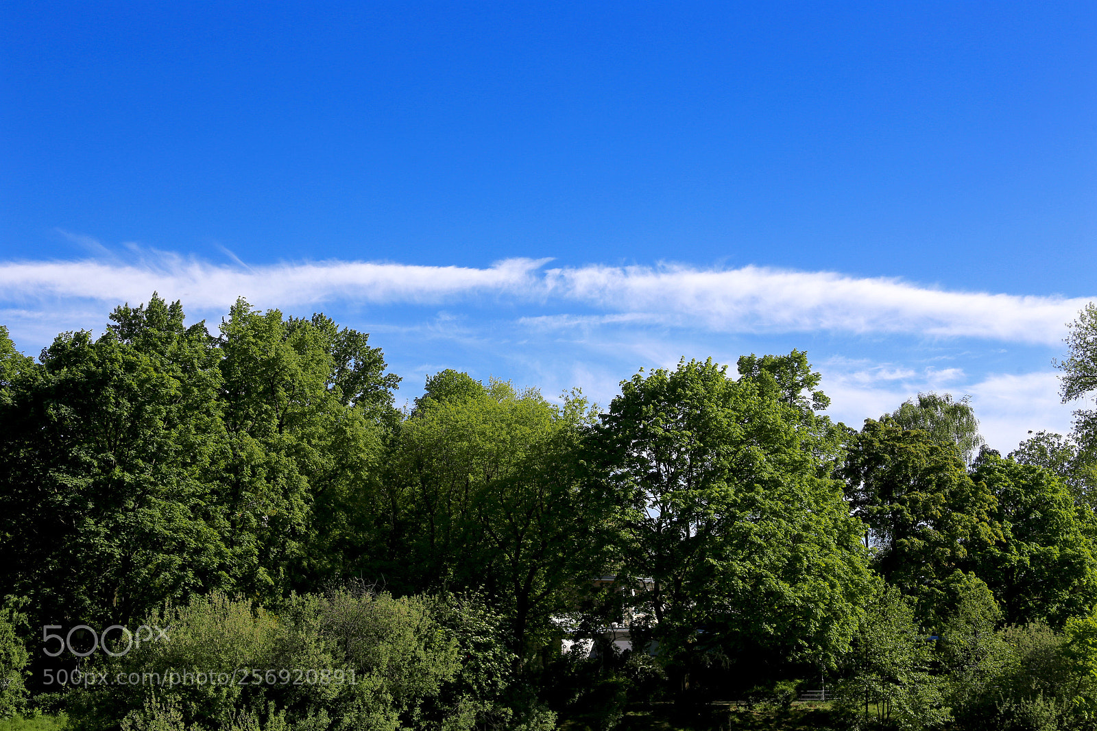Canon EOS 6D sample photo. Berlin - mitte photography