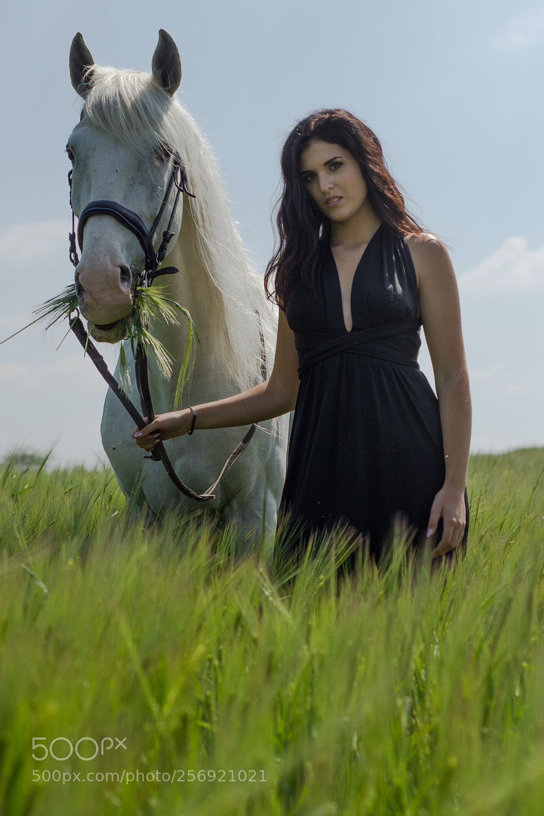 Nikon D7200 sample photo. Barbara photography