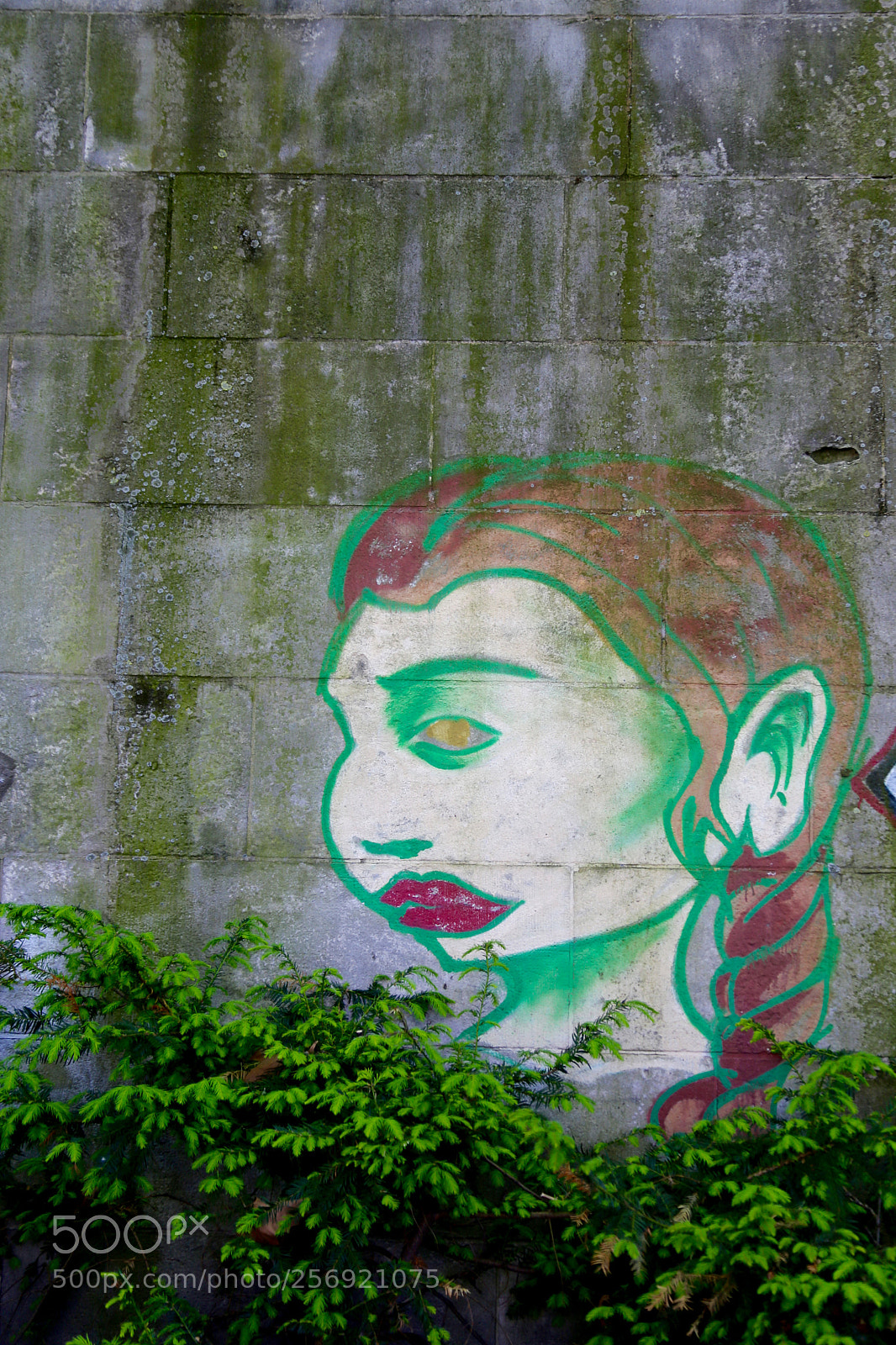 Canon EOS 6D sample photo. Berlin - mitte photography