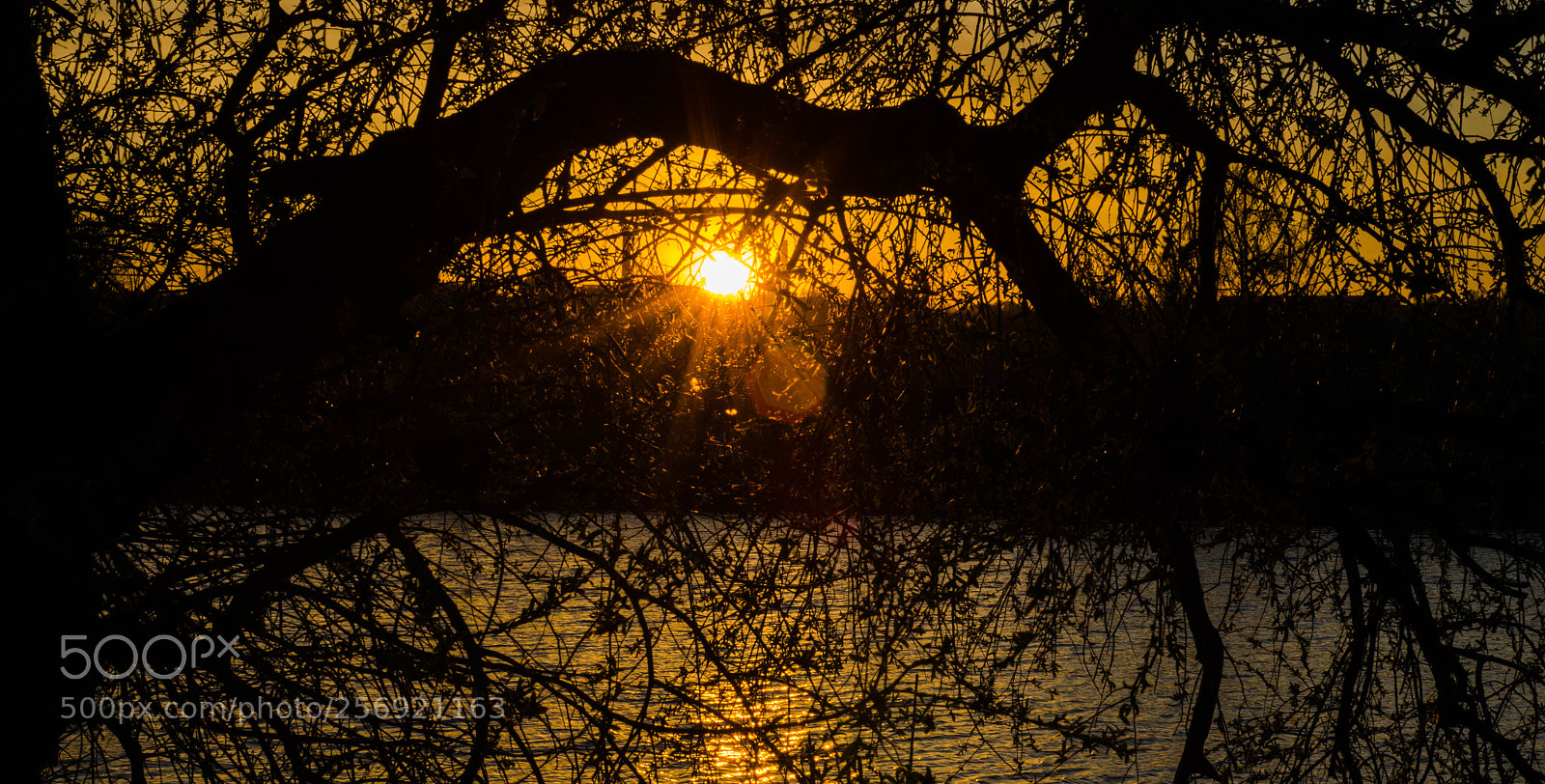 Nikon D7000 sample photo. Untitled photography