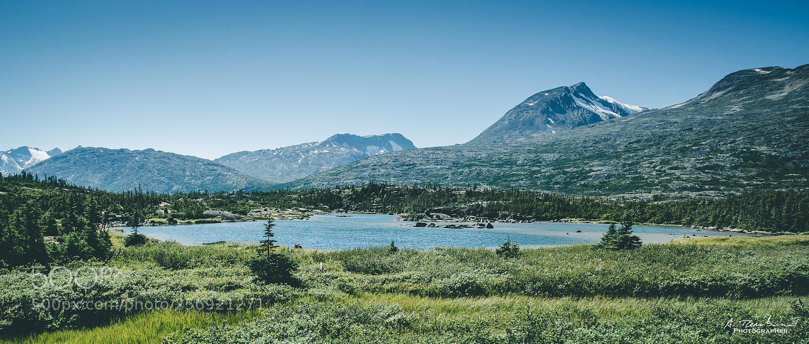 Nikon D5100 sample photo. Yukon territory photography