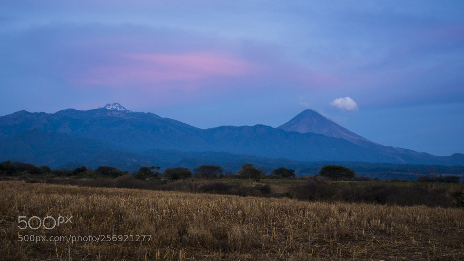Nikon D7100 sample photo. Pink clouds over golden photography
