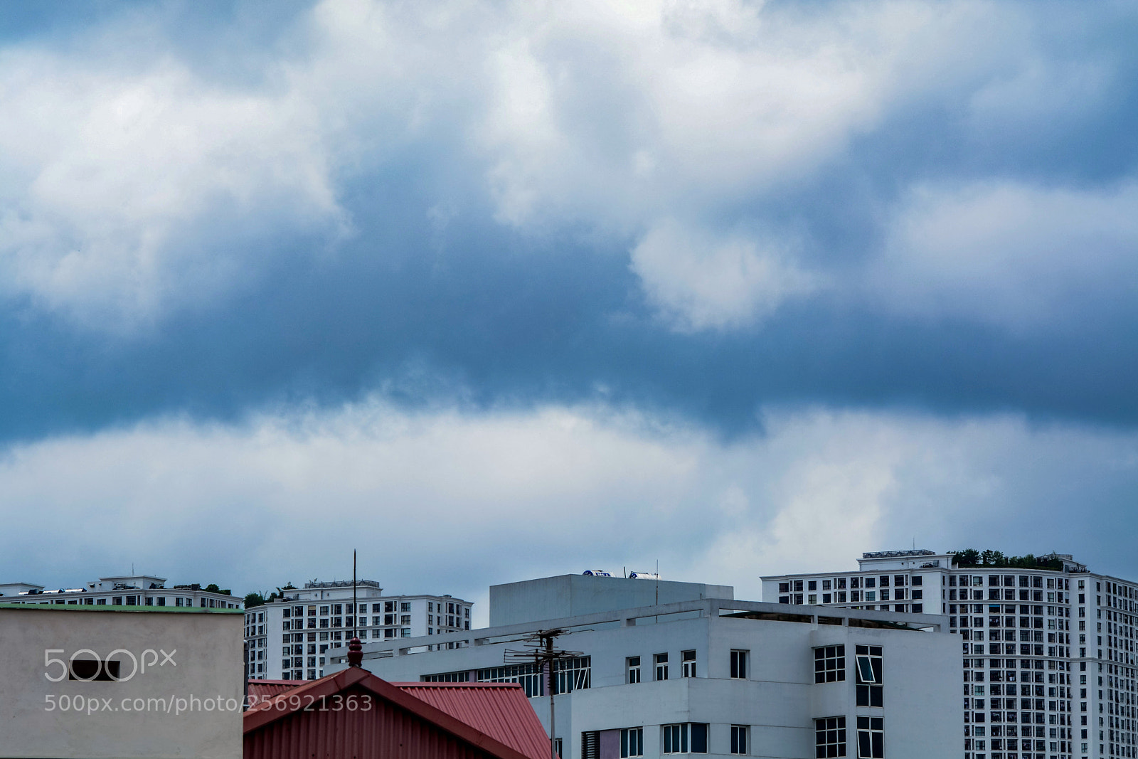 Nikon D7100 sample photo. Untitled photography