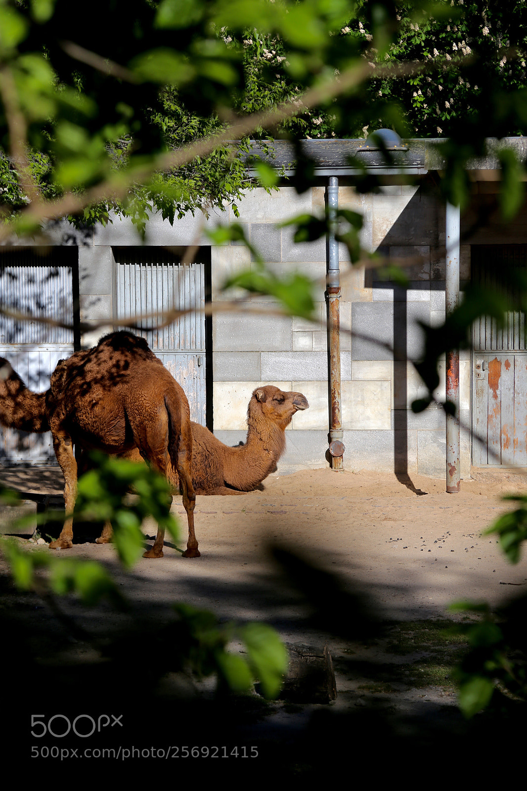 Canon EOS 6D sample photo. Berlin - mitte photography