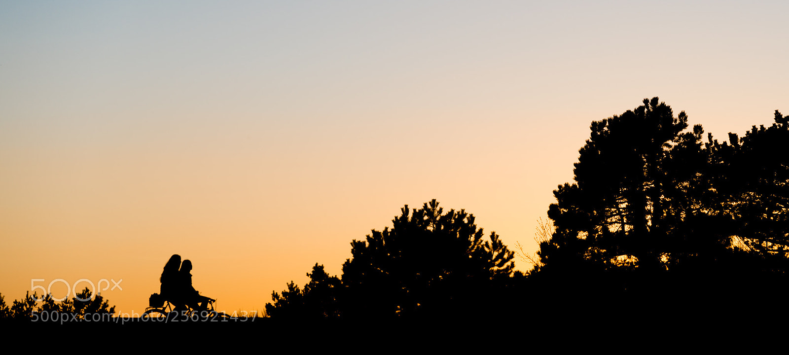 Nikon D610 sample photo. Silhuett photography