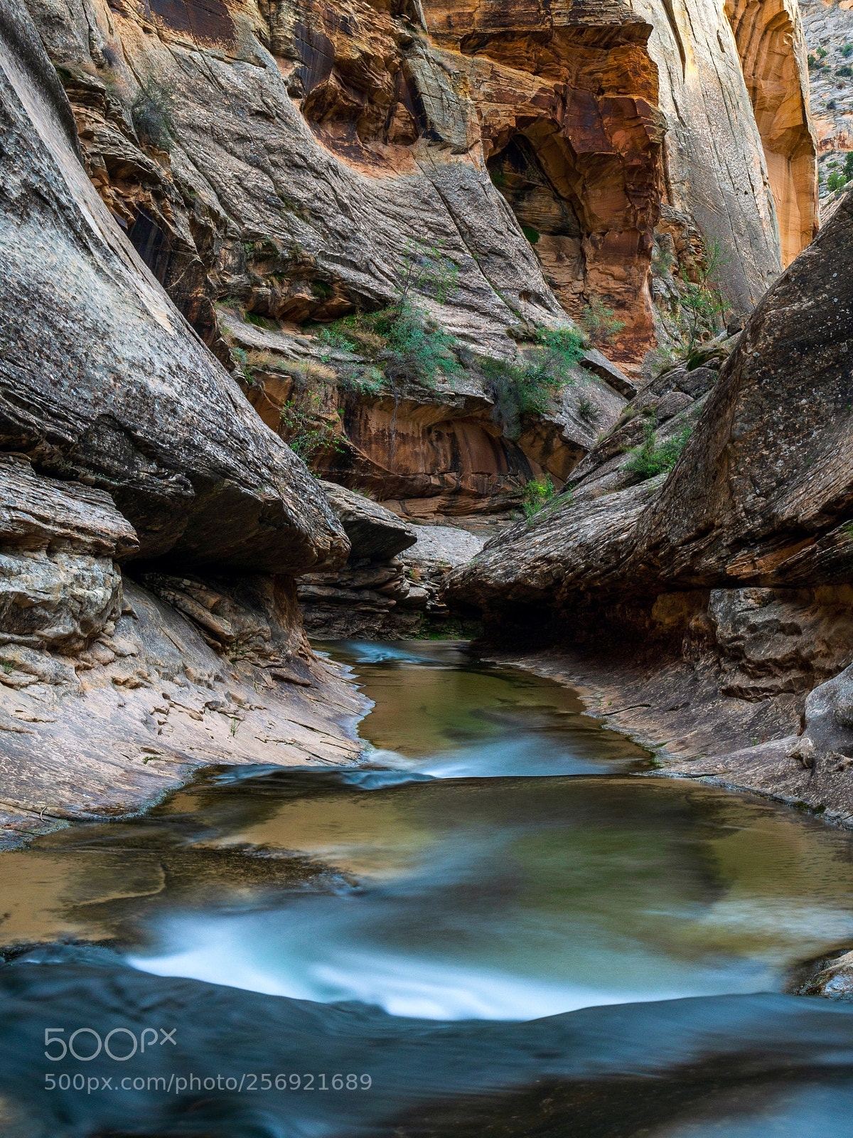 Olympus OM-D E-M5 sample photo. Grand staircase-escalante national monument photography