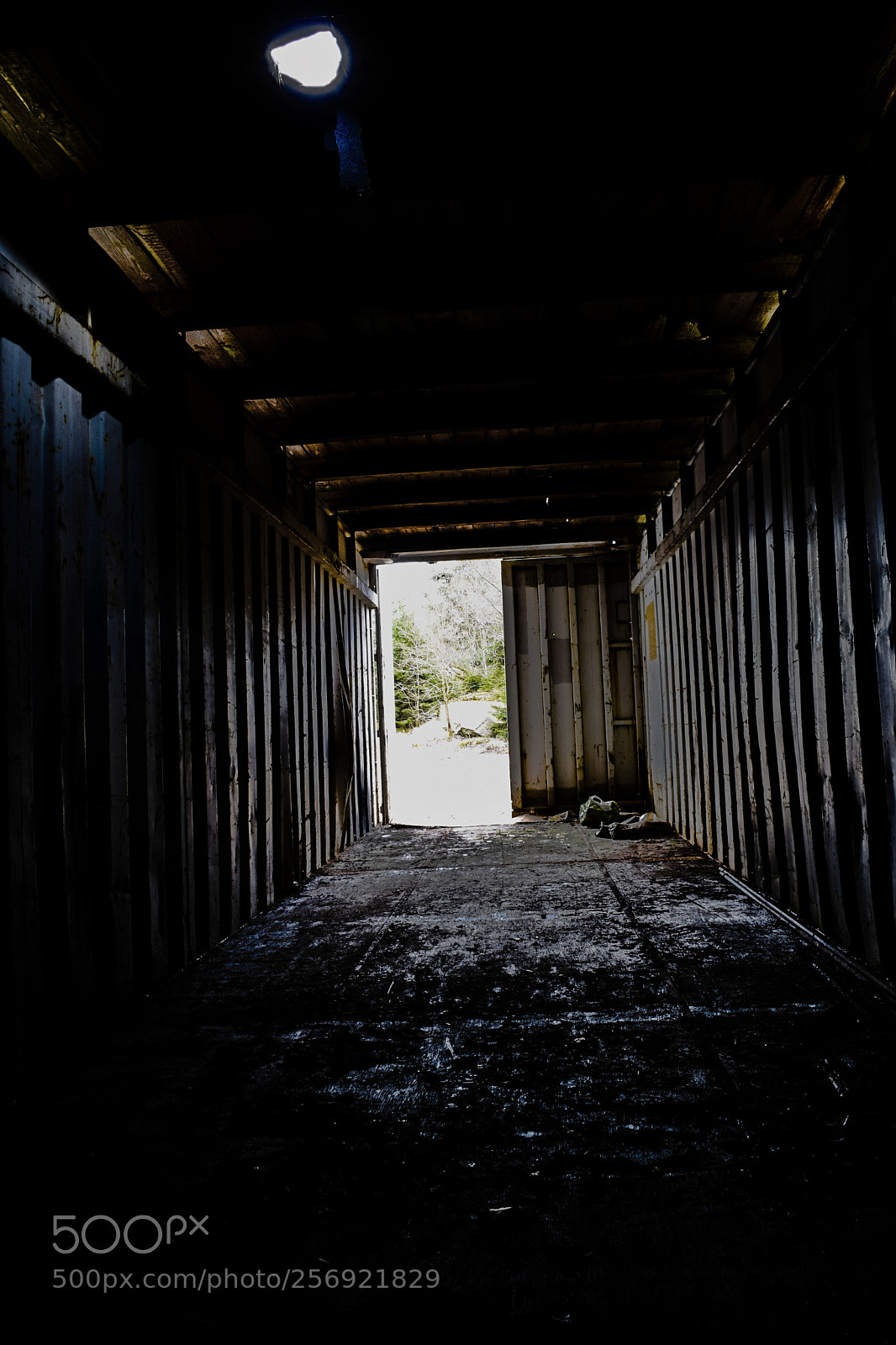 Nikon D3300 sample photo. Old cargo container photography