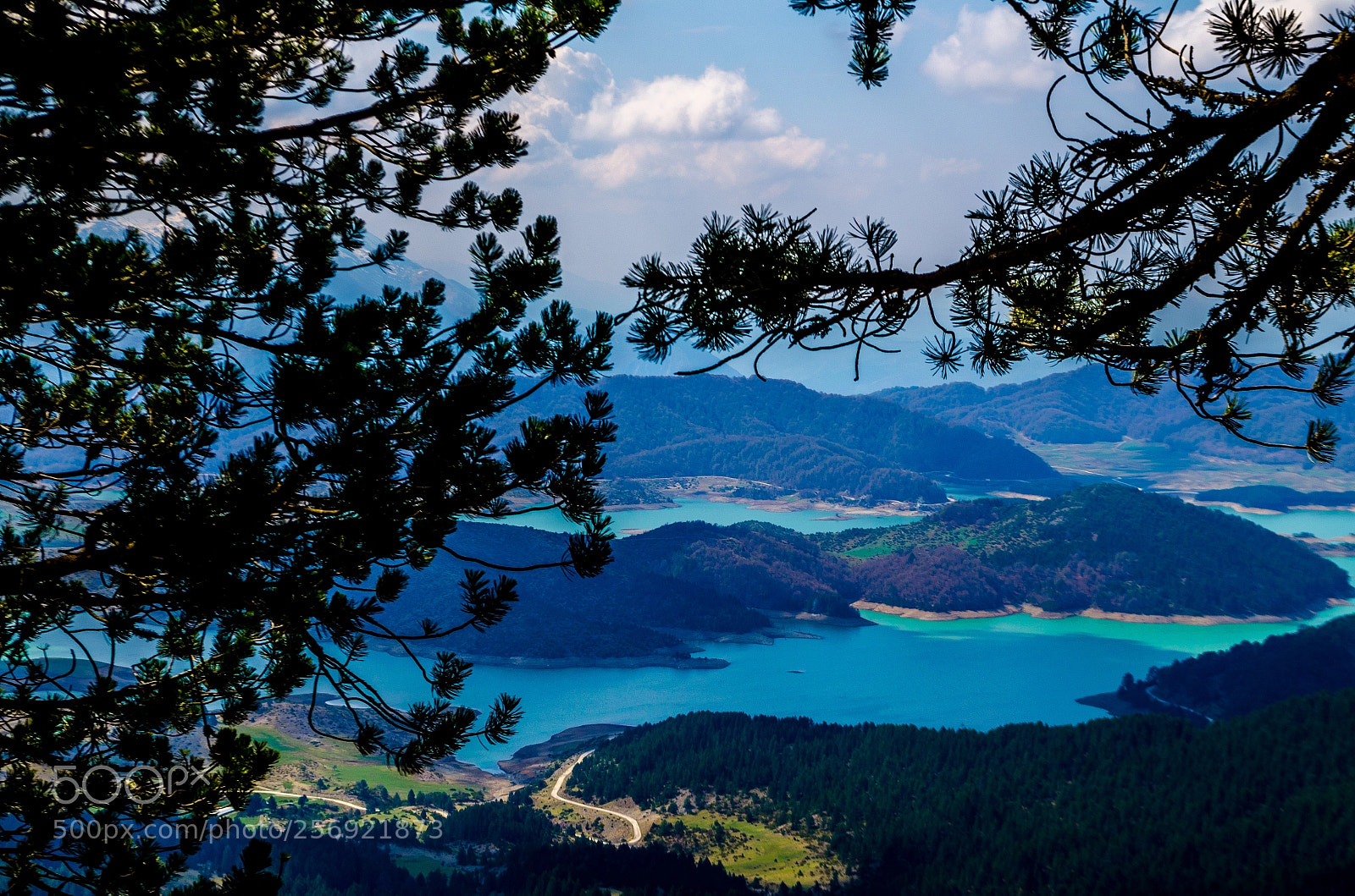 Nikon D5100 sample photo. Nature wearing the colors photography