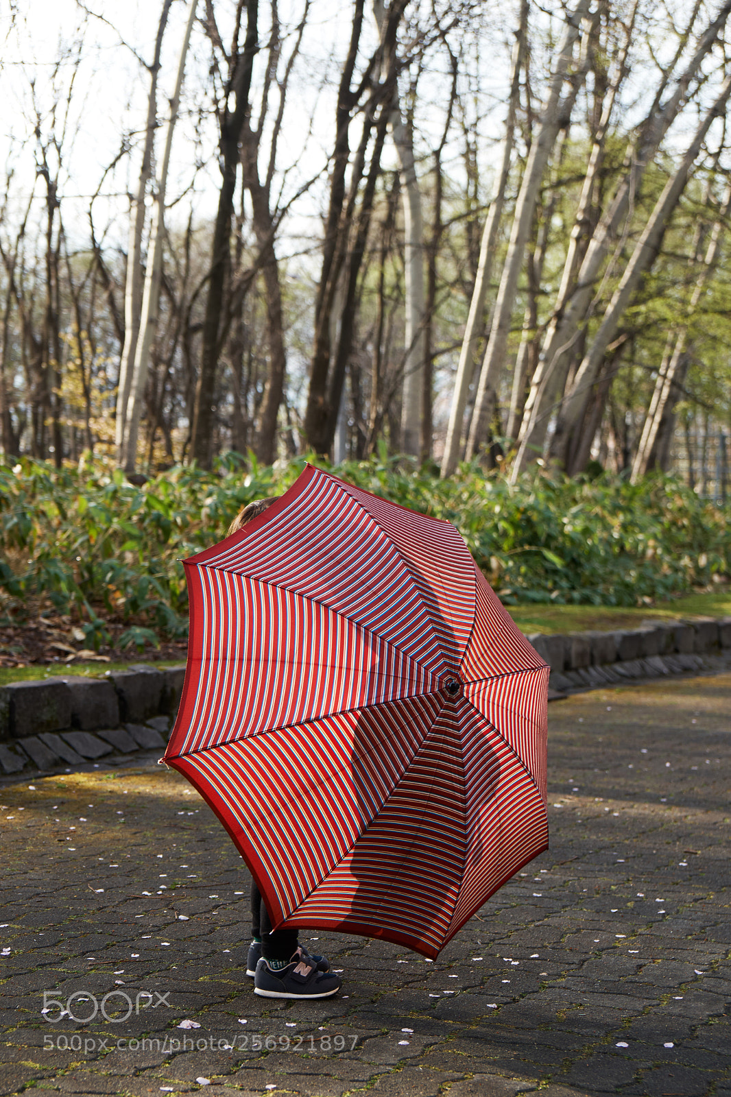 Sony a6300 sample photo. Boy with umbrella photography