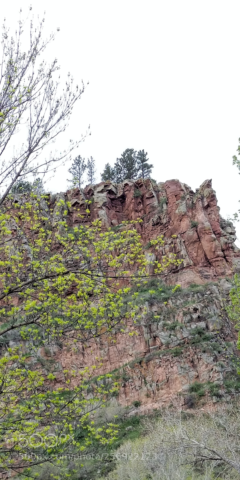 LG G6 sample photo. Amazing colorado photography