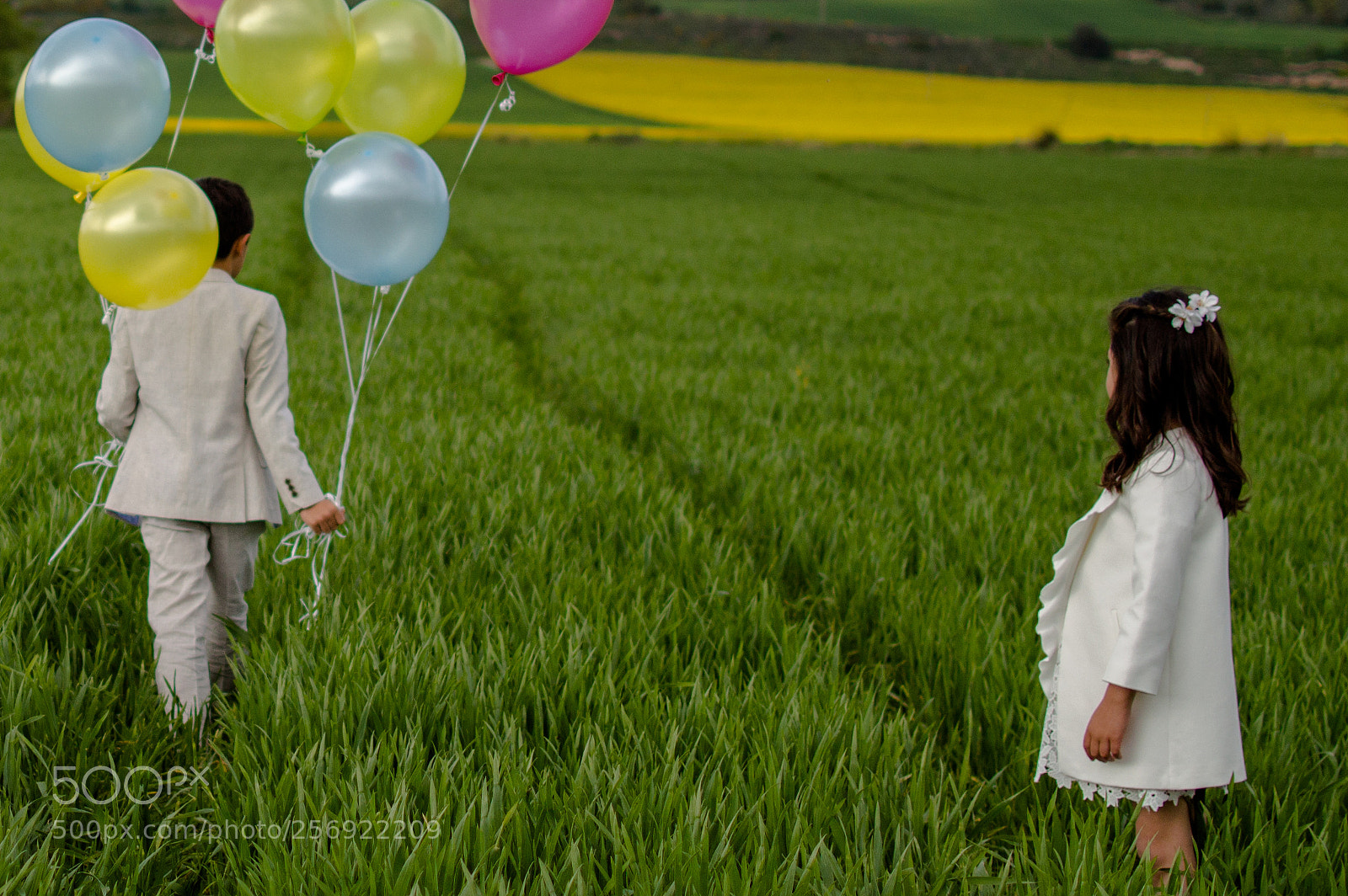 Nikon D3200 sample photo. Untitled photography