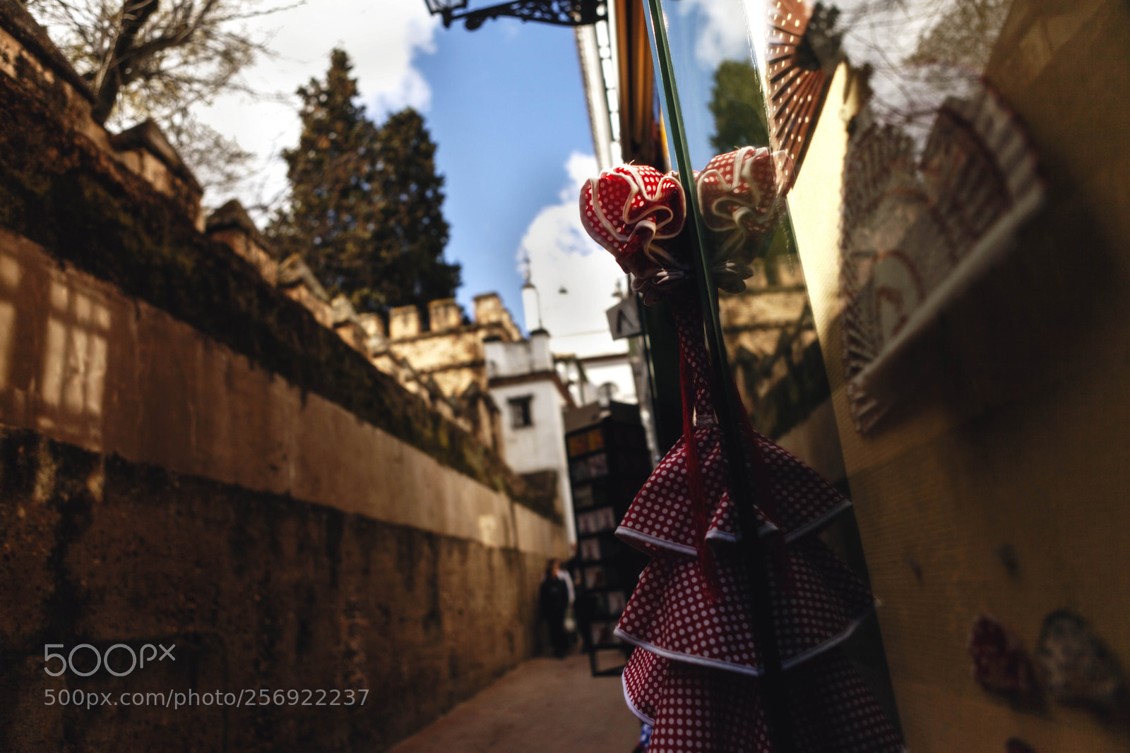 Canon EOS 5D Mark II sample photo. Sevilla street photography