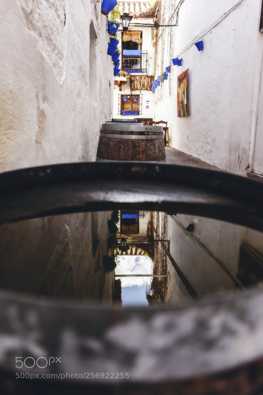 Canon EOS 5D Mark II sample photo. Reflections photography