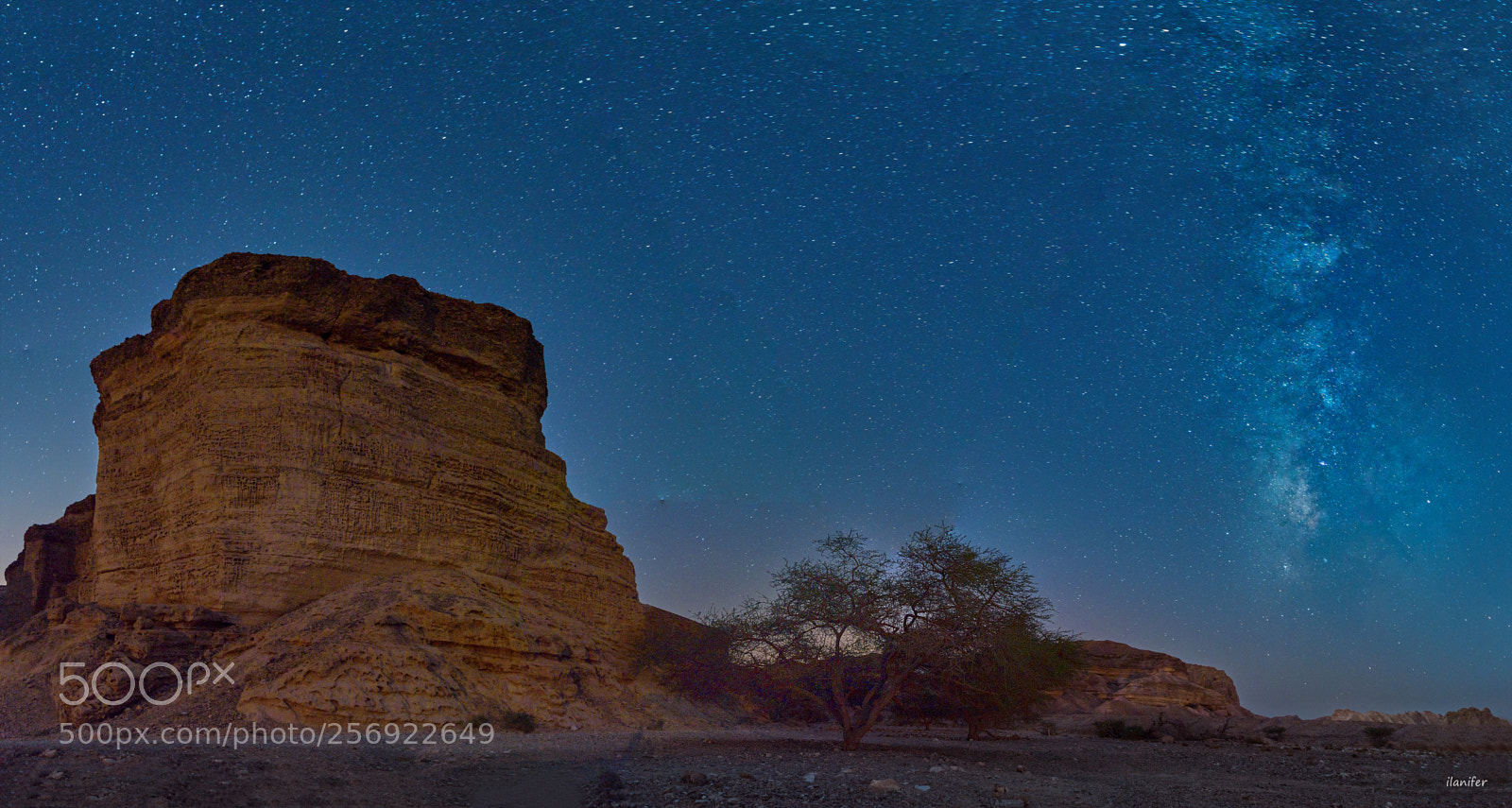 Nikon D750 sample photo. Counting stars.. photography