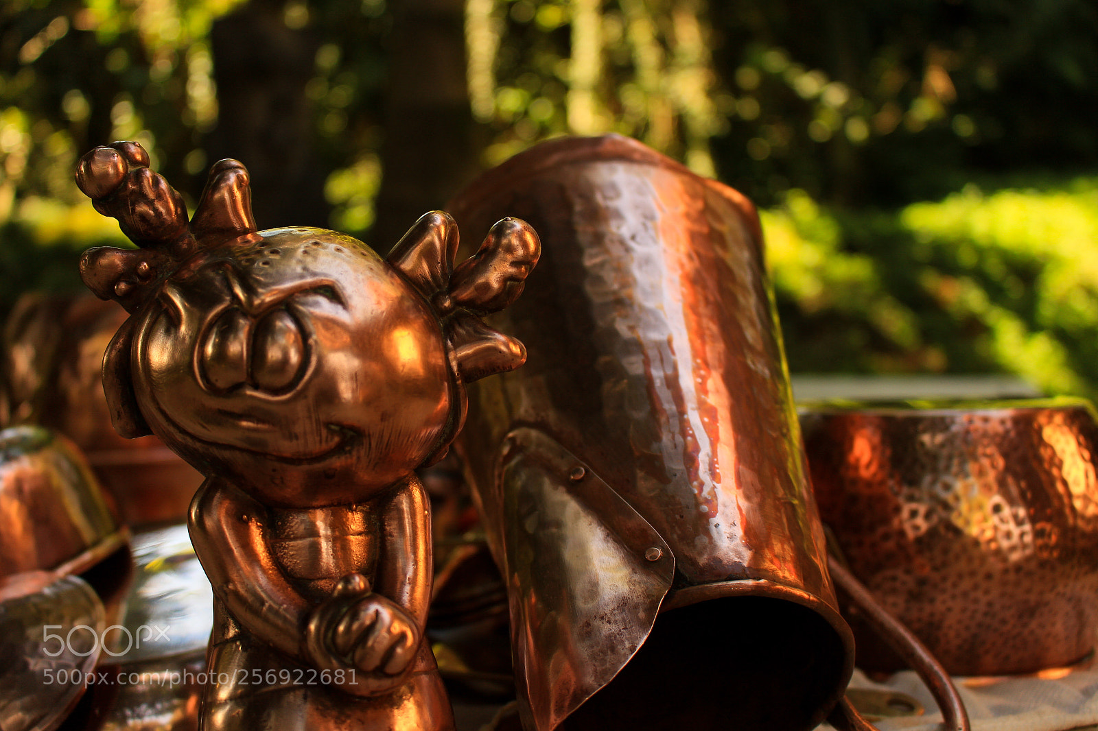 Canon EOS 700D (EOS Rebel T5i / EOS Kiss X7i) sample photo. Bronze arte photography
