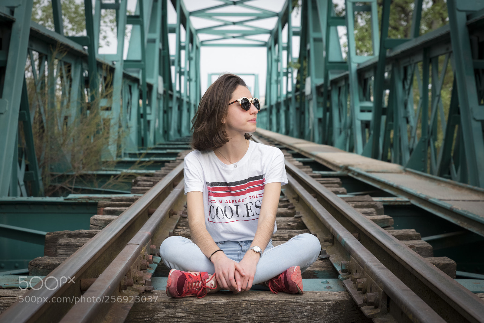 Nikon D750 sample photo. The green bridge photography