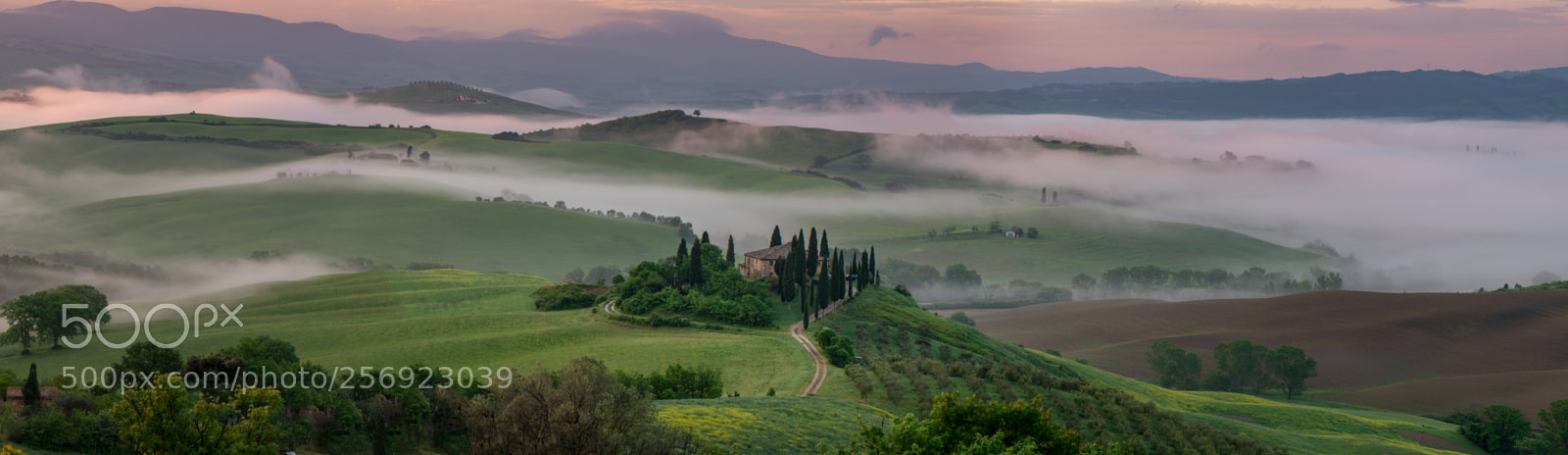 Sony a7R II sample photo. Foggy morning photography