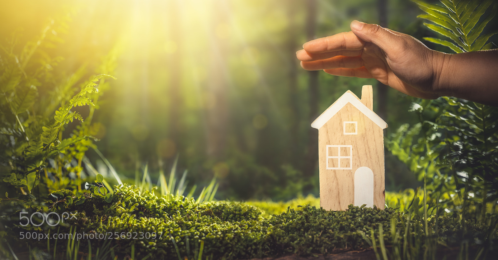 Canon EOS 5DS R sample photo. Home insurance concept photography