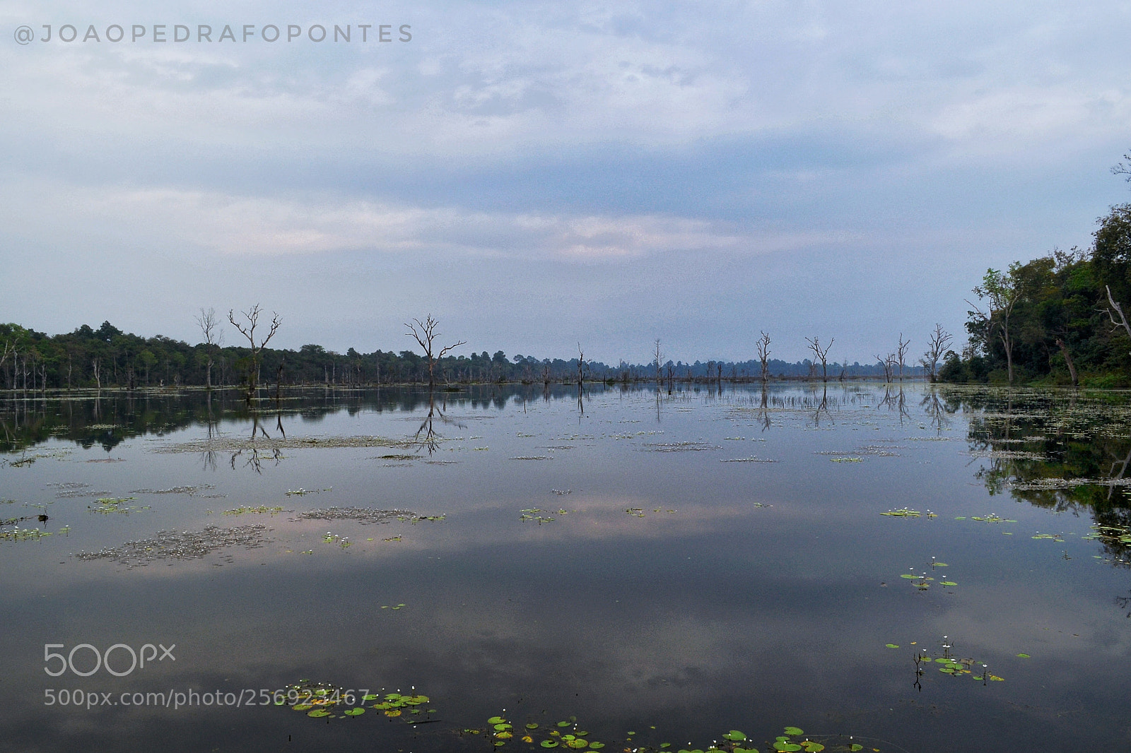 Nikon D3100 sample photo. Lake on angkor wat photography